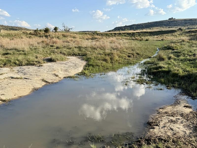 20 Bedroom Property for Sale in Paul Roux Free State